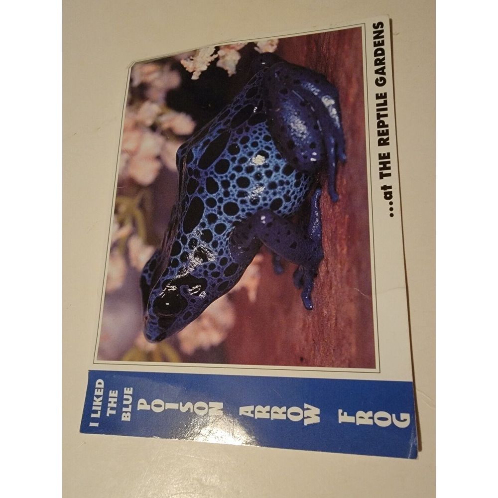 Vintage Post Card Blue Poison Arrow Dart Frog 90s Black Hills Reptile Garden‎